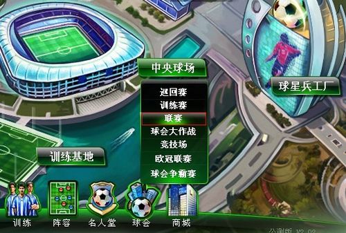 国家队生涯