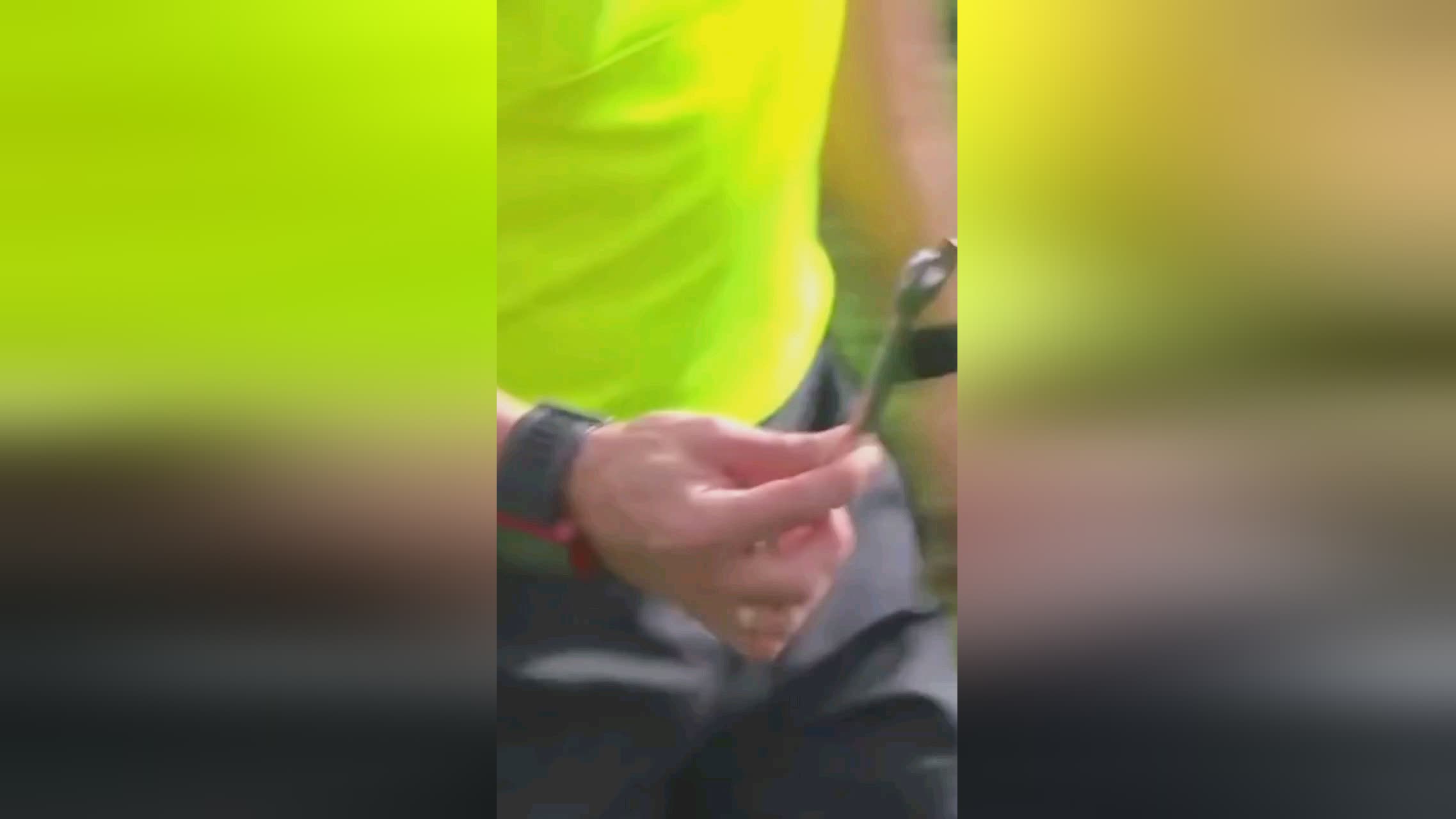 球员现
